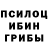 Псилоцибиновые грибы MAGIC MUSHROOMS Mike Deen