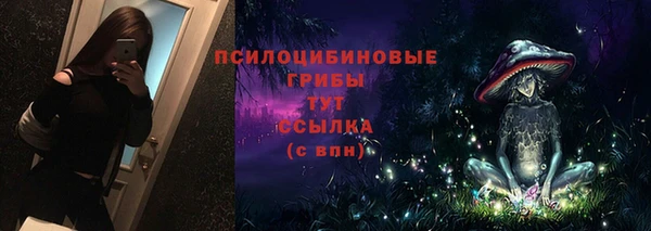 spice Арсеньев