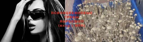 spice Арсеньев