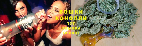 spice Арсеньев