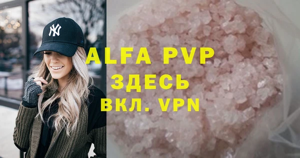 spice Аркадак