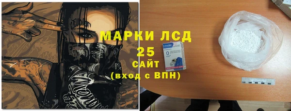 spice Аркадак