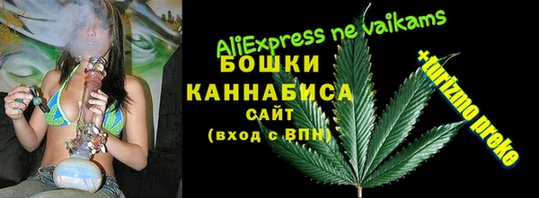 spice Аркадак