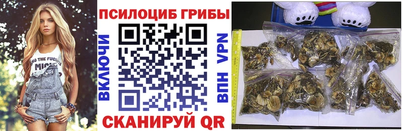 kraken ссылки  Тюкалинск  Псилоцибиновые грибы мицелий 